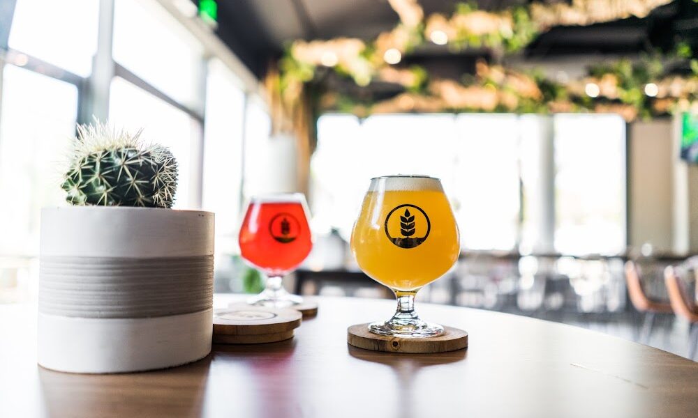 Pure Project Balboa Park